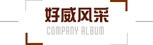 好威风采